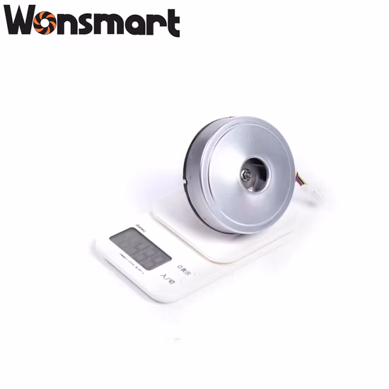 Soplador aspirador sin escobillas Wonsmart 48V 10kpa DC