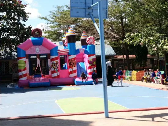 Soplador inflable inflable del castillo de salto de la diapositiva en venta