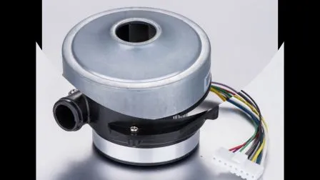 Mini ventilador de escape de Motor CC sin escobillas, pequeño, de alta presión, 48V y alto flujo de aire, 55m3/H, con uso médico e industrial